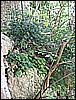 IMG_3345.JPG