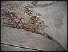 IMG_3359.JPG