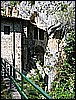 IMG_3363.JPG