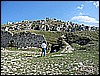 IMG_3370.JPG