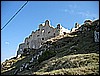 IMG_3377.JPG