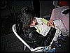 IMG_3382.JPG