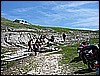 IMG_3406.JPG