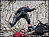 IMG_3415.JPG
