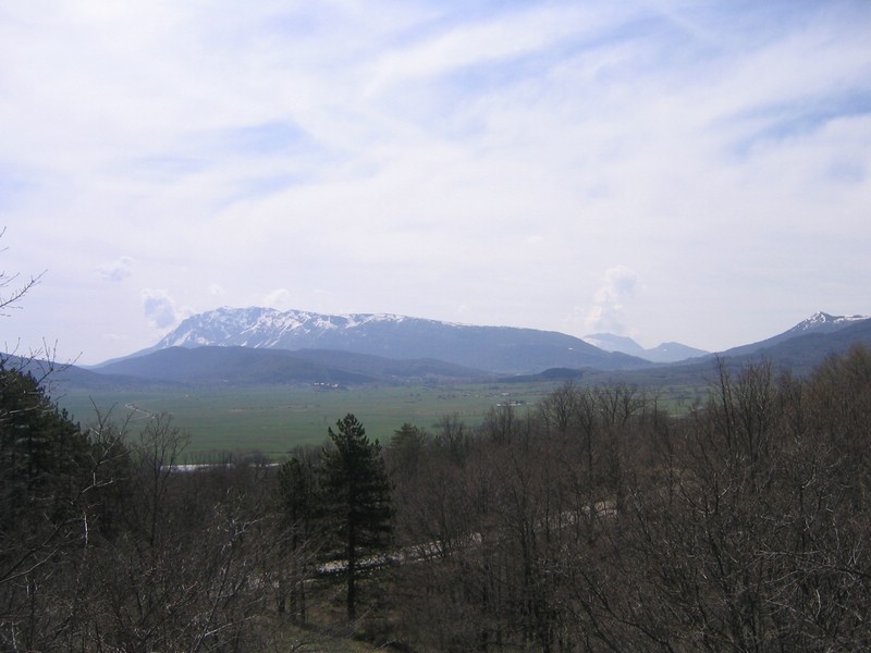 100_0026.JPG