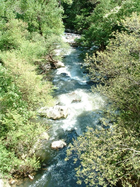 2006_04240118.JPG