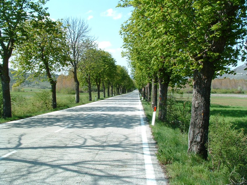 2006_04240127.JPG