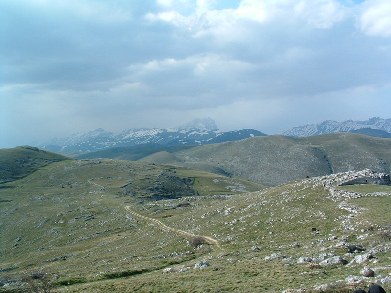 2006_04240136.JPG