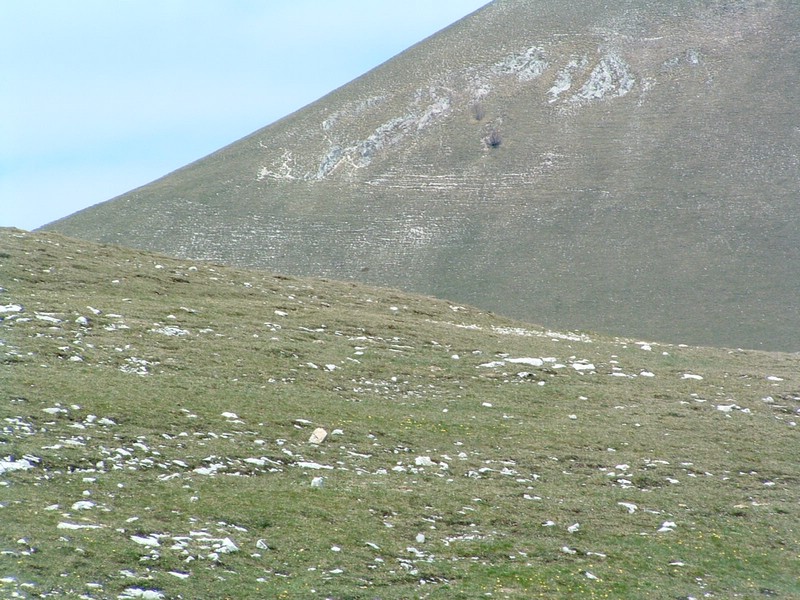 2006_04240149.JPG