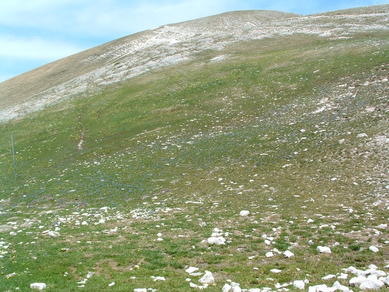2006_04240158.JPG