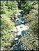 2006_04240118.JPG