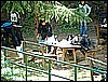2006_04240119.JPG