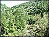2006_04240120.JPG