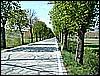 2006_04240127.JPG