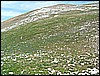 2006_04240158.JPG