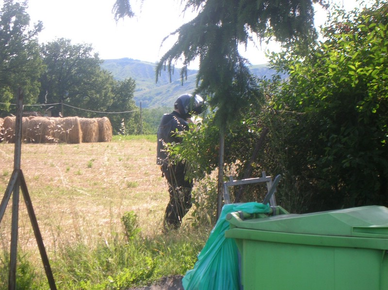 DSCN4253.JPG