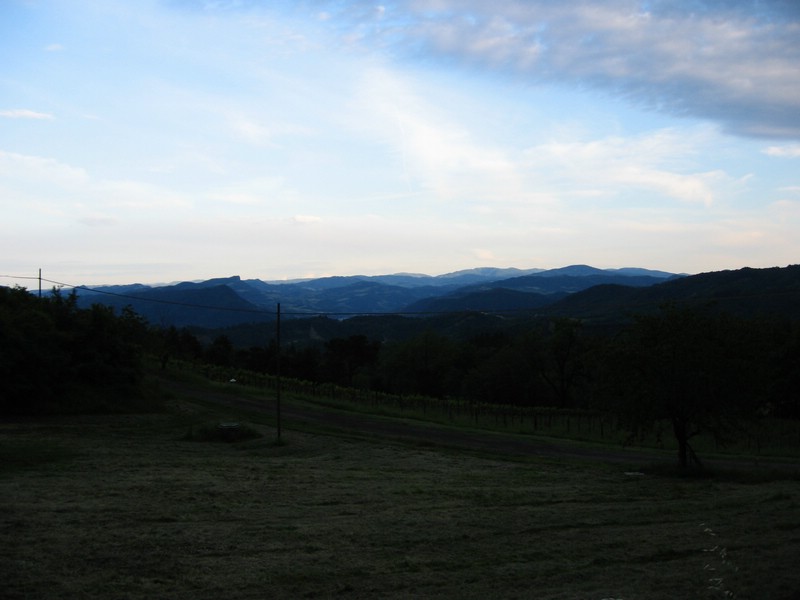 IMG_0084.jpg