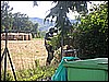 DSCN4253.JPG