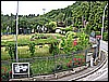 IMG_0106.jpg
