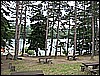 IMG_0136.jpg