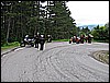 IMG_0155.jpg