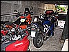 IMG_0160.jpg