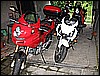 IMG_0163.jpg