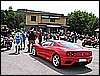 IMG_0224.jpg