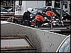 IMG_0272.jpg
