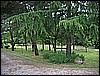IMG_3723.JPG