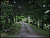 IMG_3727.JPG