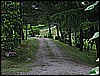 IMG_3728.JPG