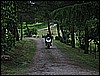 IMG_3731.JPG