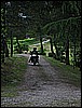 IMG_3732.JPG