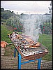 IMG_3744.JPG