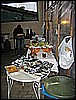 IMG_3748.JPG
