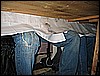 IMG_3776.JPG
