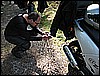 IMG_3786.JPG