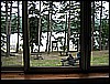 IMG_0098.JPG