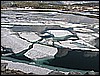 Immagine249.jpg