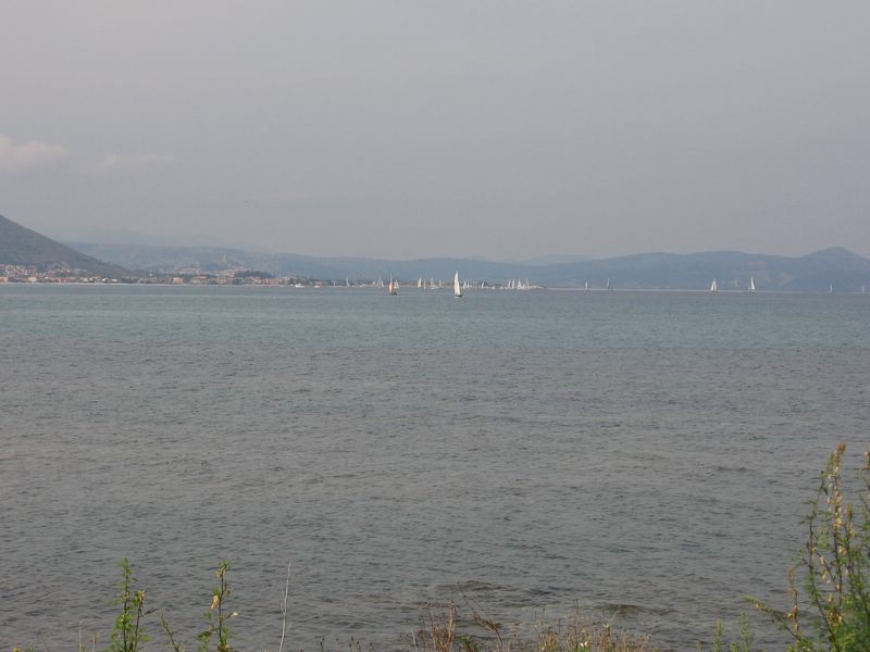IMG_0223.JPG