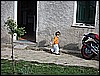 IMG_0053.JPG
