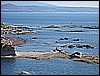 IMG_0127.JPG