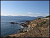 IMG_0133.JPG