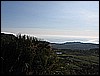 IMG_0141.JPG