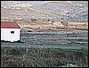 IMG_0172.JPG