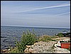 IMG_0217.JPG