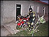 IMG_0250.JPG