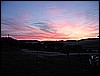 IMG_0254.JPG