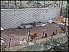 IMG_0294.JPG